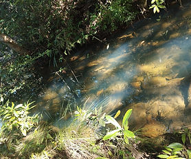 Área rural com casa pronta e excelente localização.