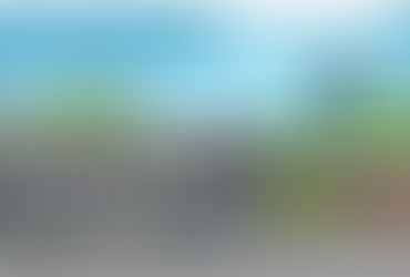 Primary Research (EXCUSE THE PUN)