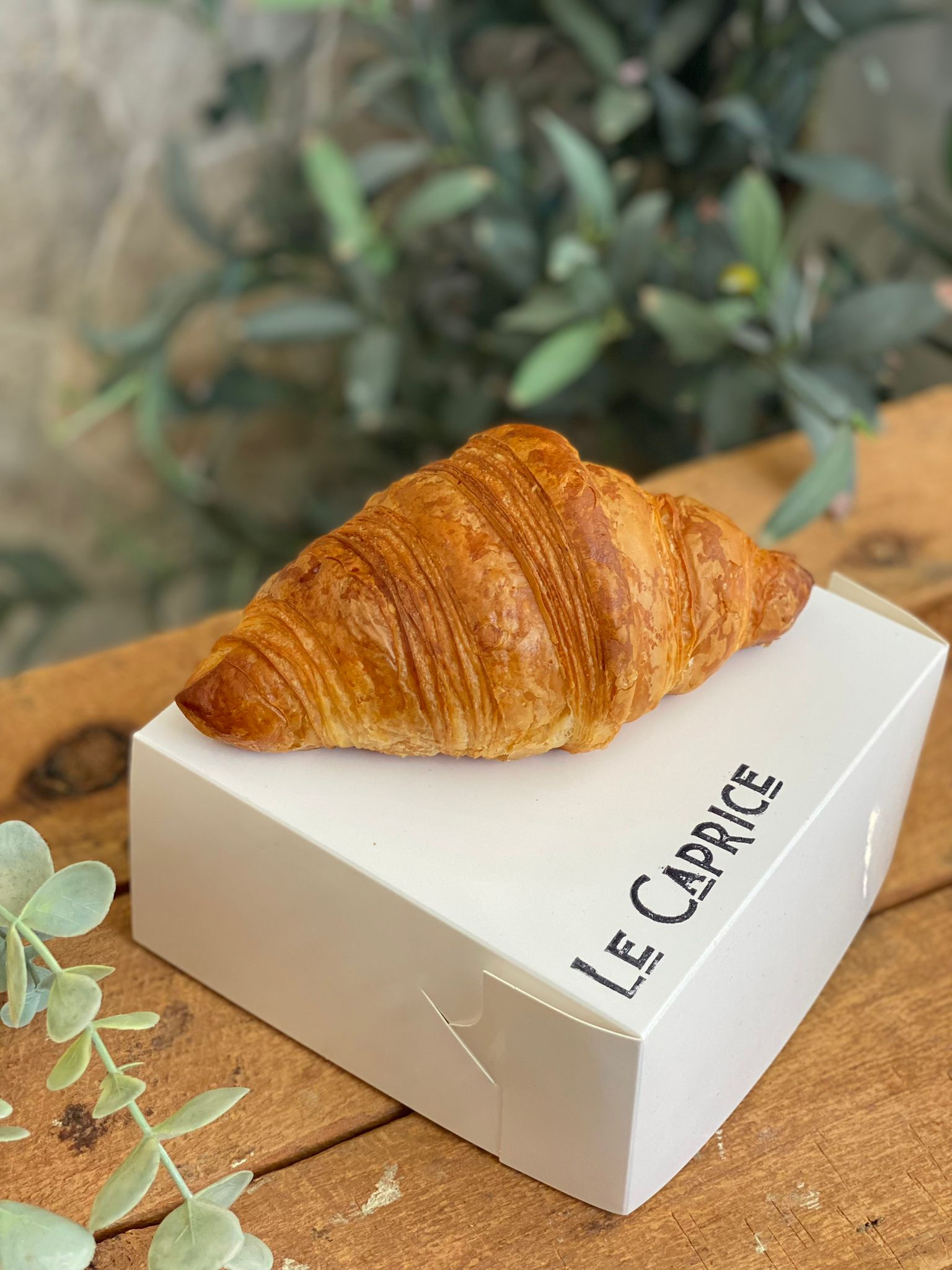 Croissant