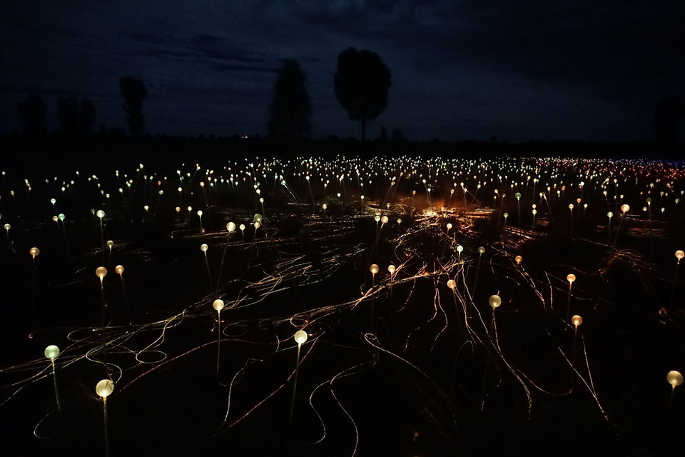 Uluru light field installation