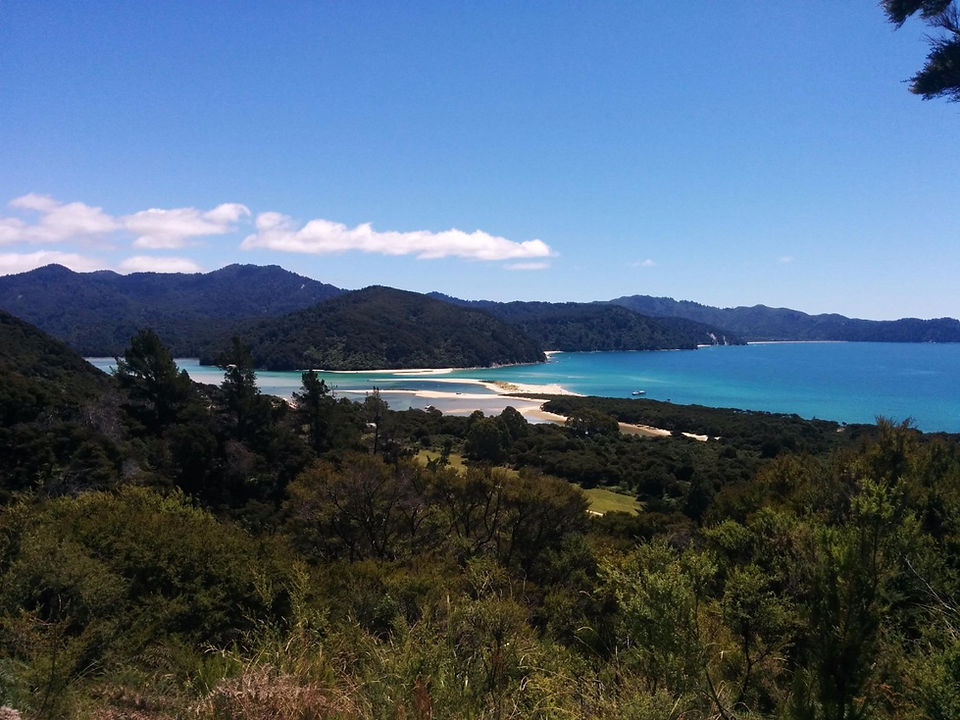 Abel Tasman Coastal Track views of the trees, beach, and water