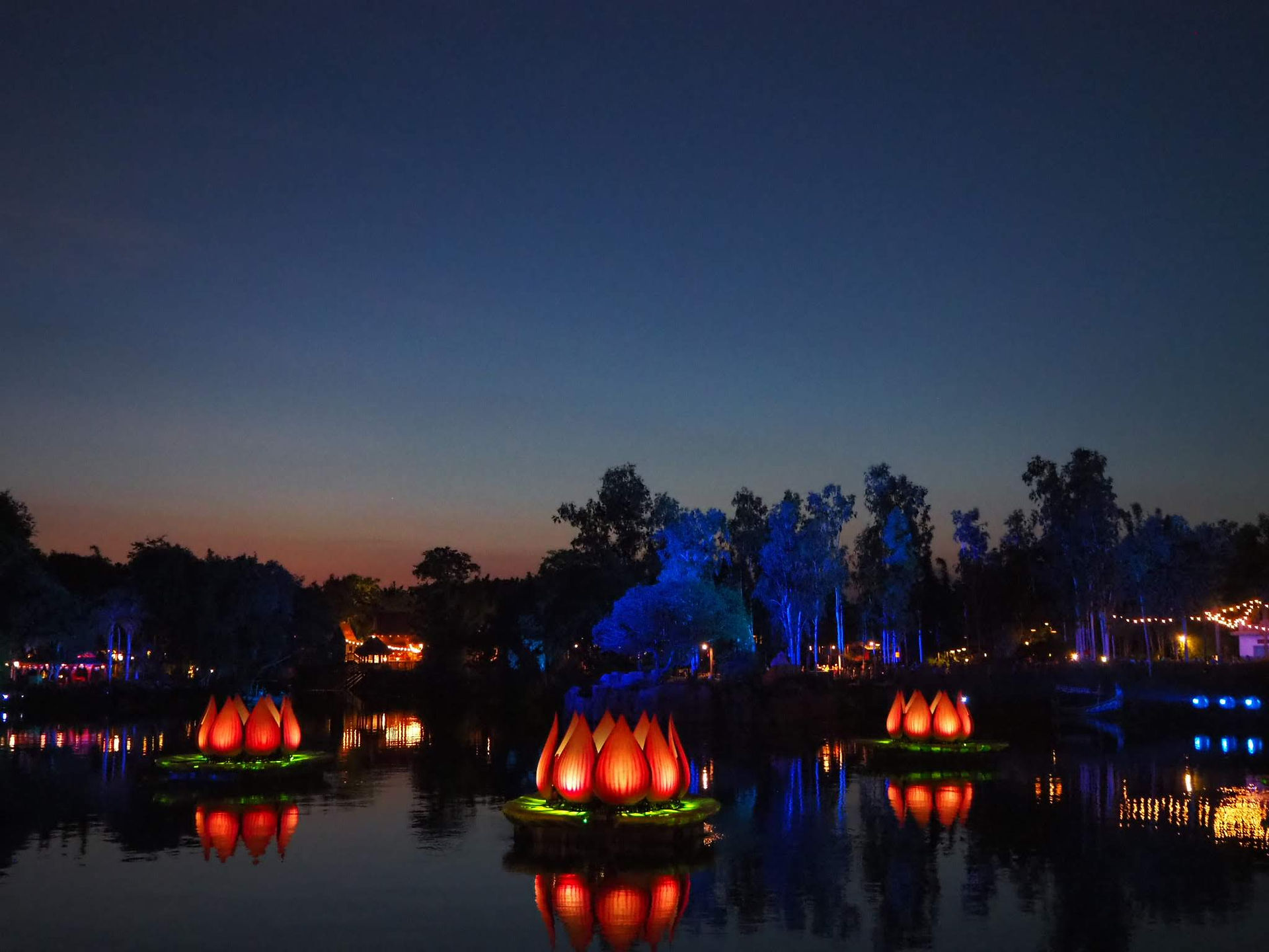 river light show animal kingdom