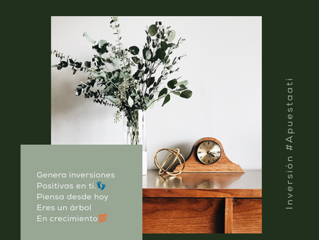 Gastos o Inversiones