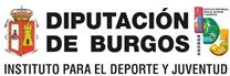 Logo IDJ.jpg