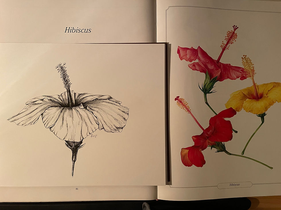 May — Creative Session