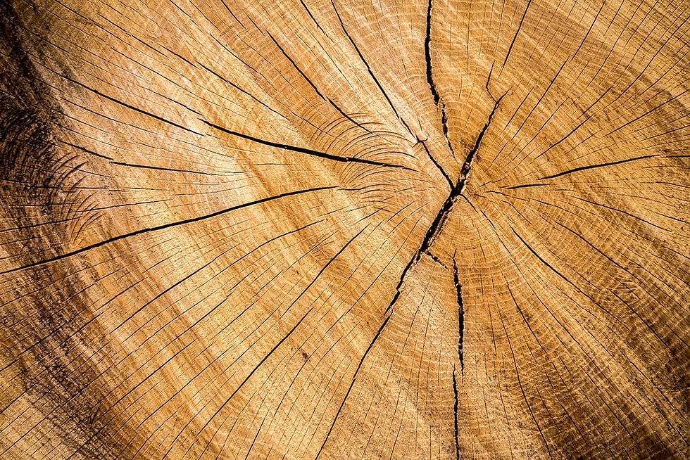 wood bkgd 3.jpg