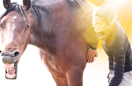 paard%252520en%252520mens%252520in%25252