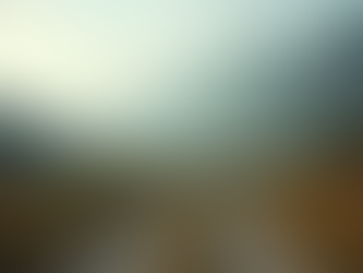 Eventos y Competencias en el Gimnasio ZORROKRAK