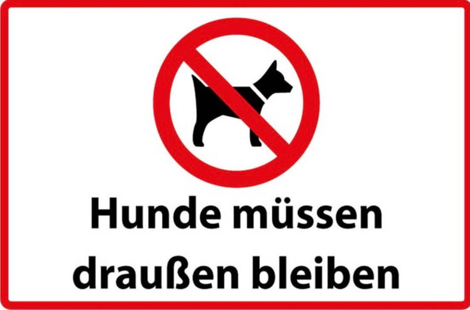 The Difference Between The German Verb Müssen and the English Must