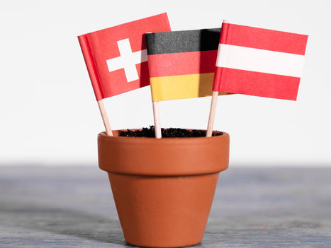 Understanding the Differences Between Standardised German, Austrian German, and Swiss German: A Comprehensive Guide