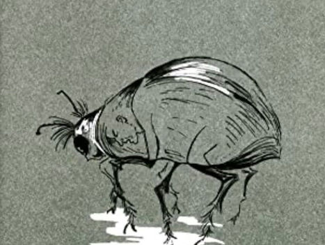 A-Level German Revision Guide: Exploring Kafka's "Die Verwandlung"