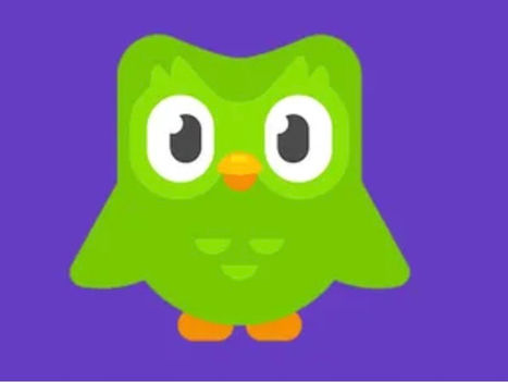 Duolingo: A Valuable Companion, But No Substitute for a German Tutor