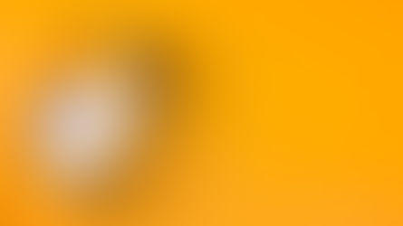 Decoding the Perfekt Tense in German: Formation and Usage