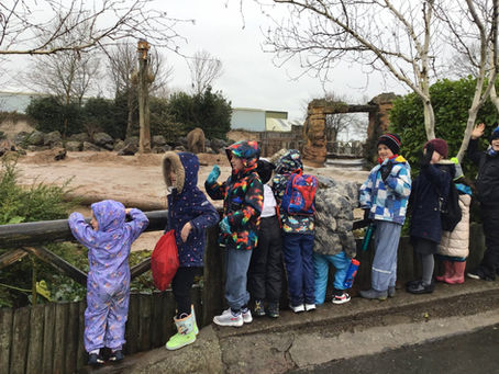 Thornton-in-Craven School - Trip To Chester Zoo