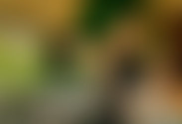 GREEN ISLAND FESTIVAL DROPS FIRST WAVE LINE-UP FOR 2026