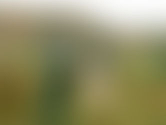 The Lemon Twigs Unleash Power-Pop Anthem "My Golden Years" Following Acclaimed 2023 Album