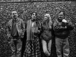 Introducing: THE ROEBUCKS