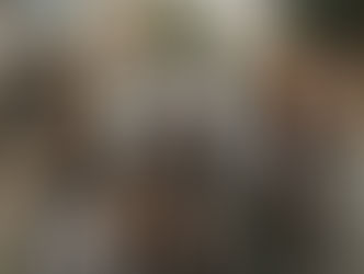 Getting To Know: Rose Tiger