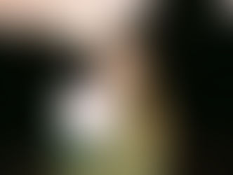 Out Today: Liv Bloore - 'Her Flowers'