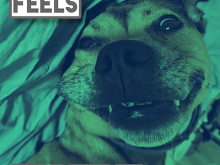 Jbax and Emma Peri Discuss Latest Track