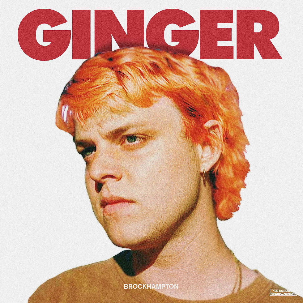 話題の人気 Records Ginger You Medium BROCKHAMPTON T-Shirt GINGER