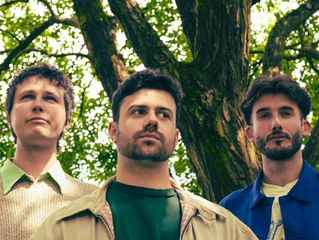 Introducing: Callis