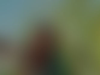 Getting To Know: Elle-Marie