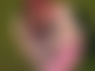 Mia Langridge ignites with vibrant new single ‘Big Bang’