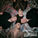 AFTERDRIVE Shift Into Overdrive With Debut EP Dress To Drive
