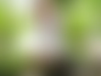 Margaux Regan on Radio Silence: Turning Ghosting Into Catharsis