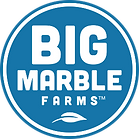 Big Marble Client Provided Logo.png
