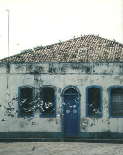 2010_I_Edilene Brito_Arte Educadora_mercado Municipal
