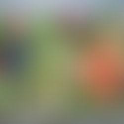 Nutrition for Conception: Your Essential Guide To Best Foods For Fertility