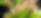 IMG_3940-1.png