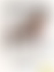 QUARTIER LIBRE — Exposition