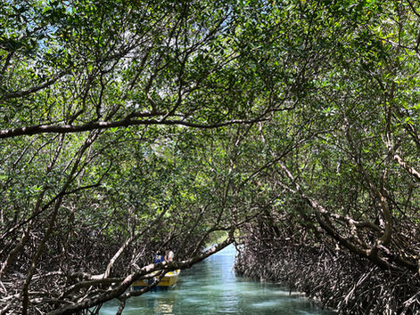 Túnel do Amor, em Moitas: o cartão-postal que conquistou o turismo do Ceará