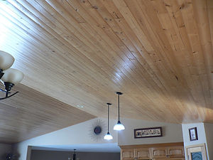 P1050335.JPG