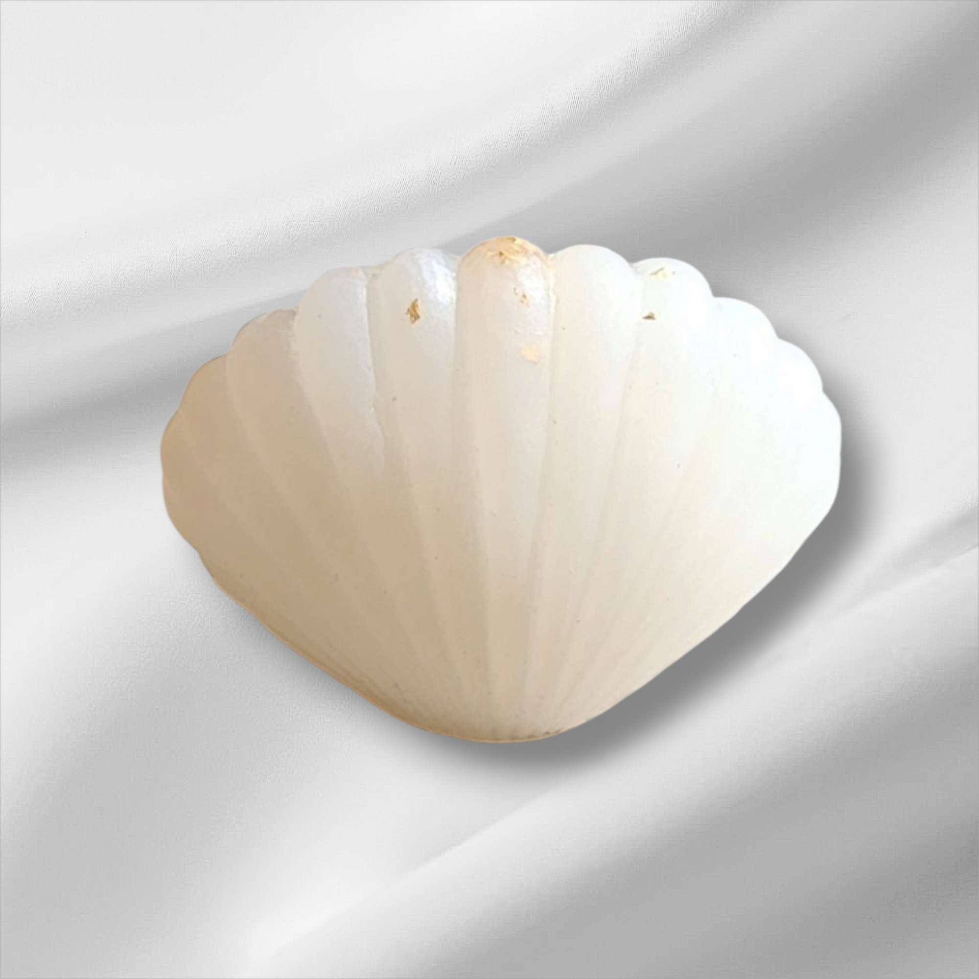 Décoration Coquillage