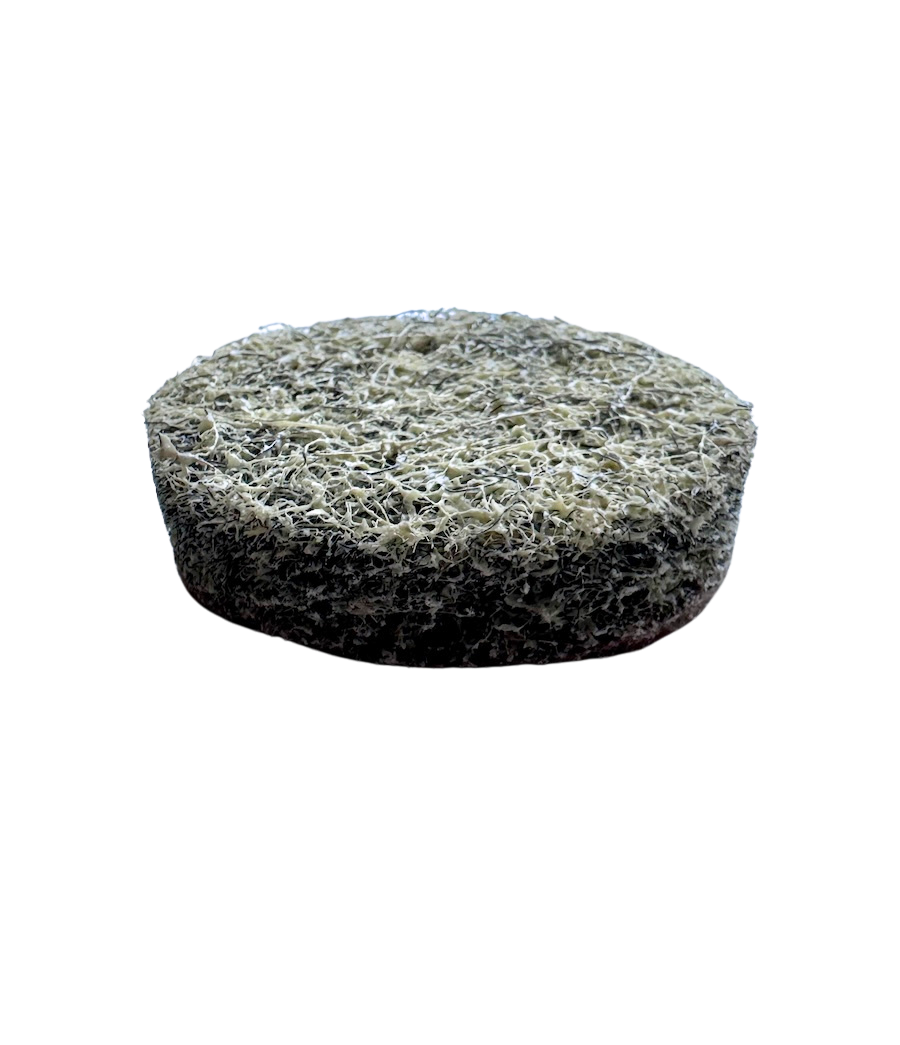 Dry use wool resin coated polishing disc for concrete