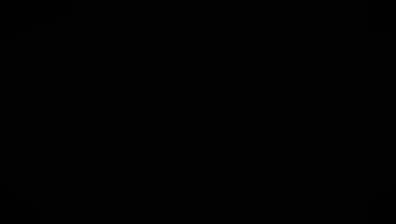 Bikes, BBQ and Bluegrass