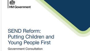 Thoughts about the SEND White Paper