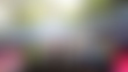 2025/11/9　野外料理