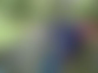 2024/5/12 デン作り