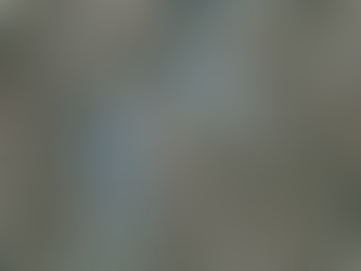 The Power of Live Mapping Feeds