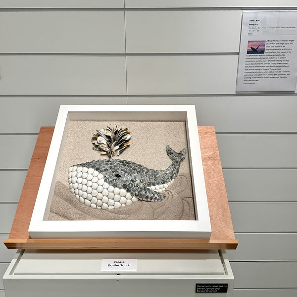 Moby whale sand and seashell art by Anna Chan