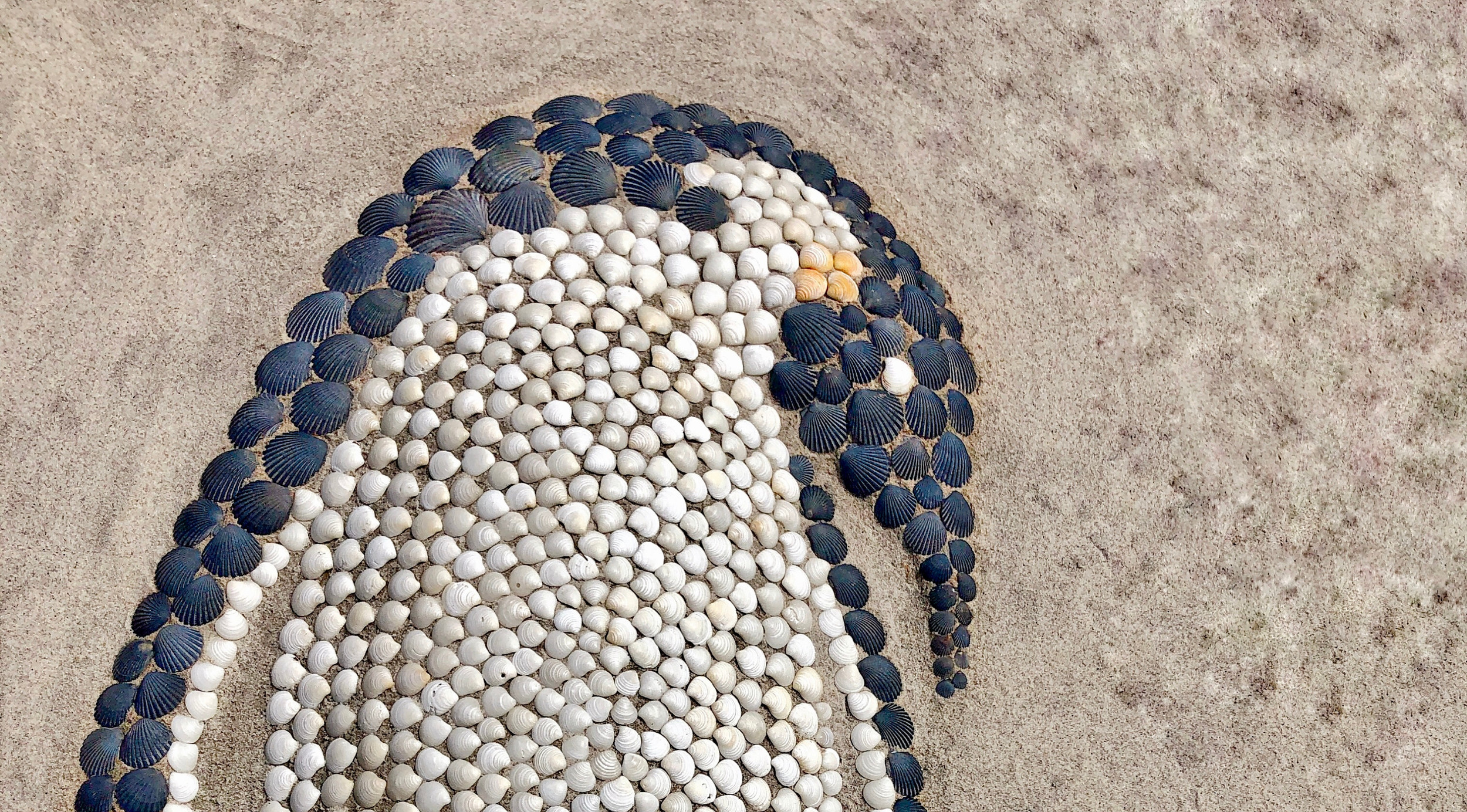 Anna Chan | Penguin