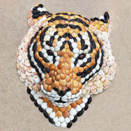 Tiger sand and seashell art by Anna Chan