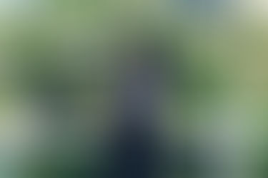 Les portrait des artistes à Terra Incognita