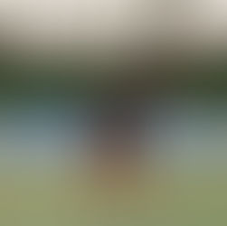 H29東海大学対抗テニスリーグ