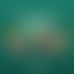 Les élu·es du groupe écologiste vous souhaitent bonne année 2026 !